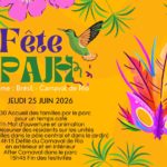 Copie de Copie de Yellow And Green Rio Carnival Facebook Cover 1 - APAJH 17